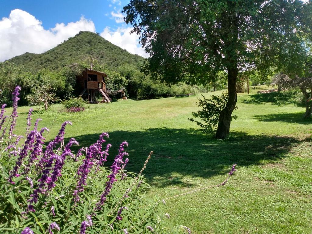 Cabaña Duraznillo photo 2