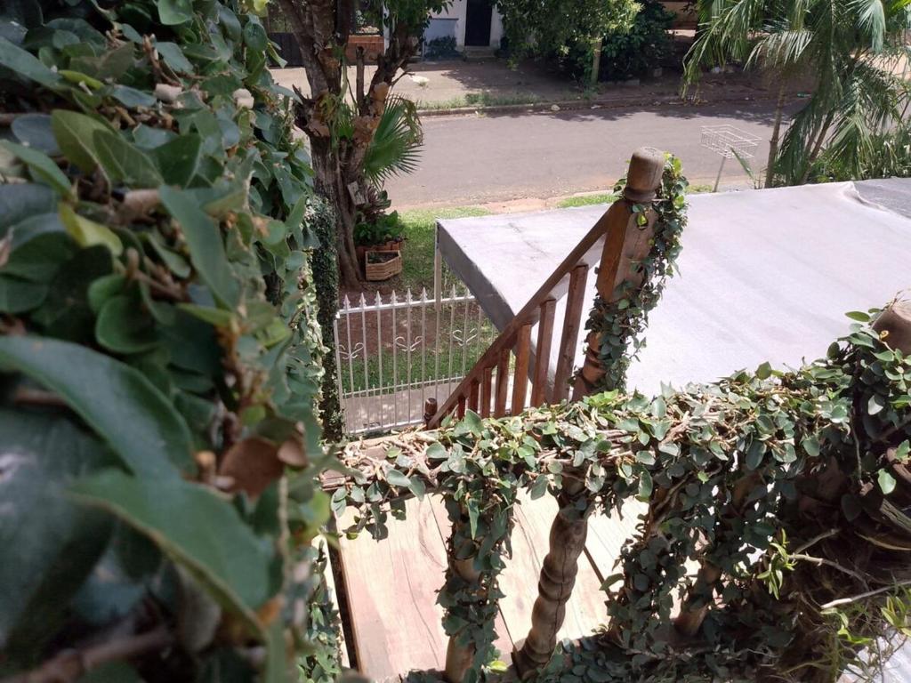Apartment in Posadas photo 3