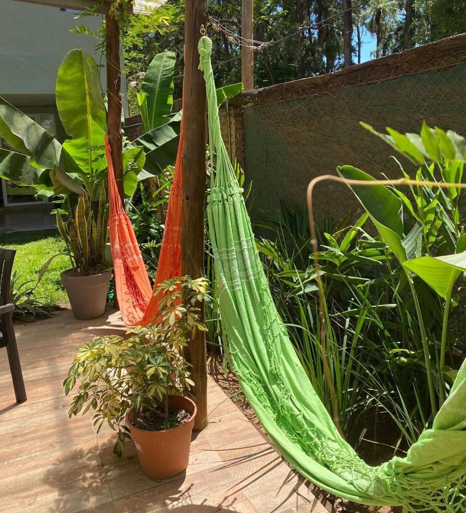 Casa de Huespedes Guacaras photo 4