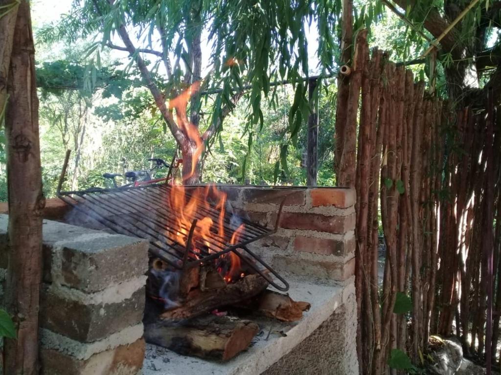 Las Tacuaras photo 4