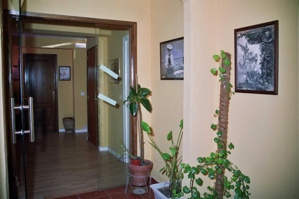 Casa Rural Jose Trullenque photo 3