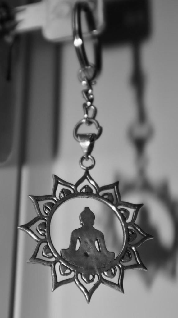 Le Harinī photo 4