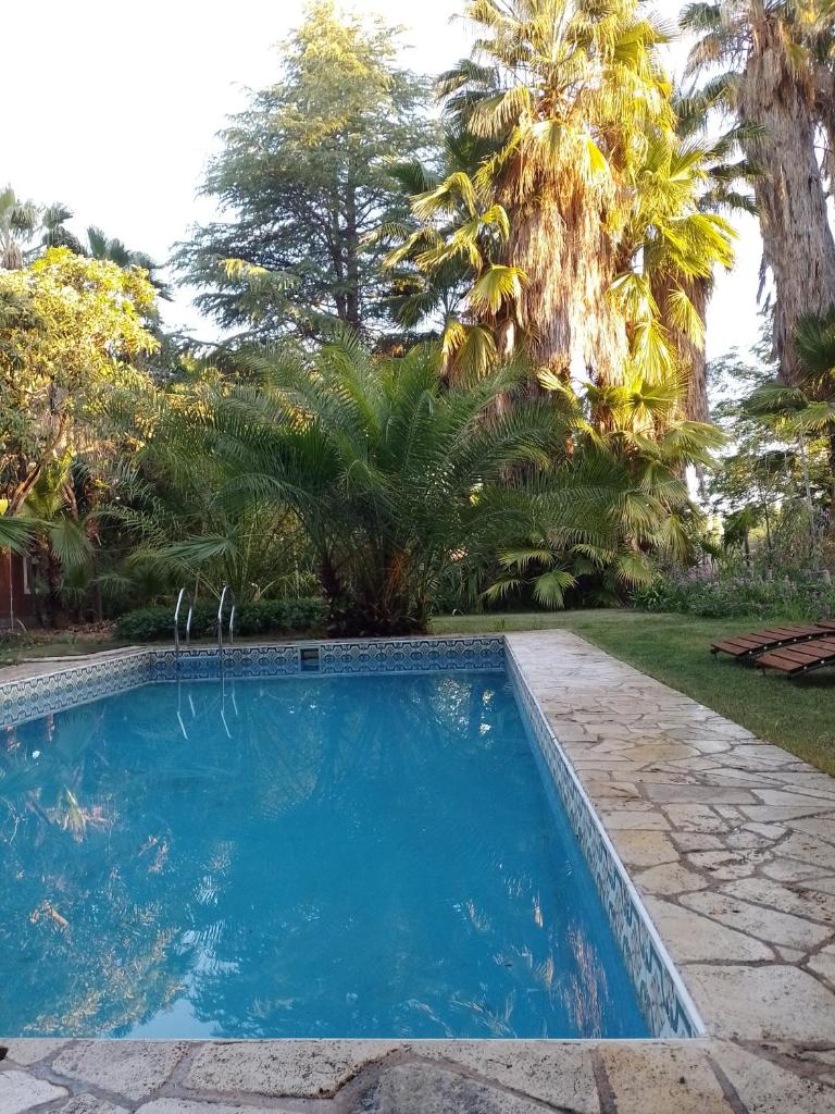 Waldhaus, la casa del bosque photo 3