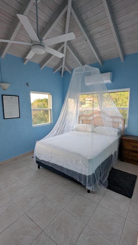 Caribbean Sea View Cottage photo 3