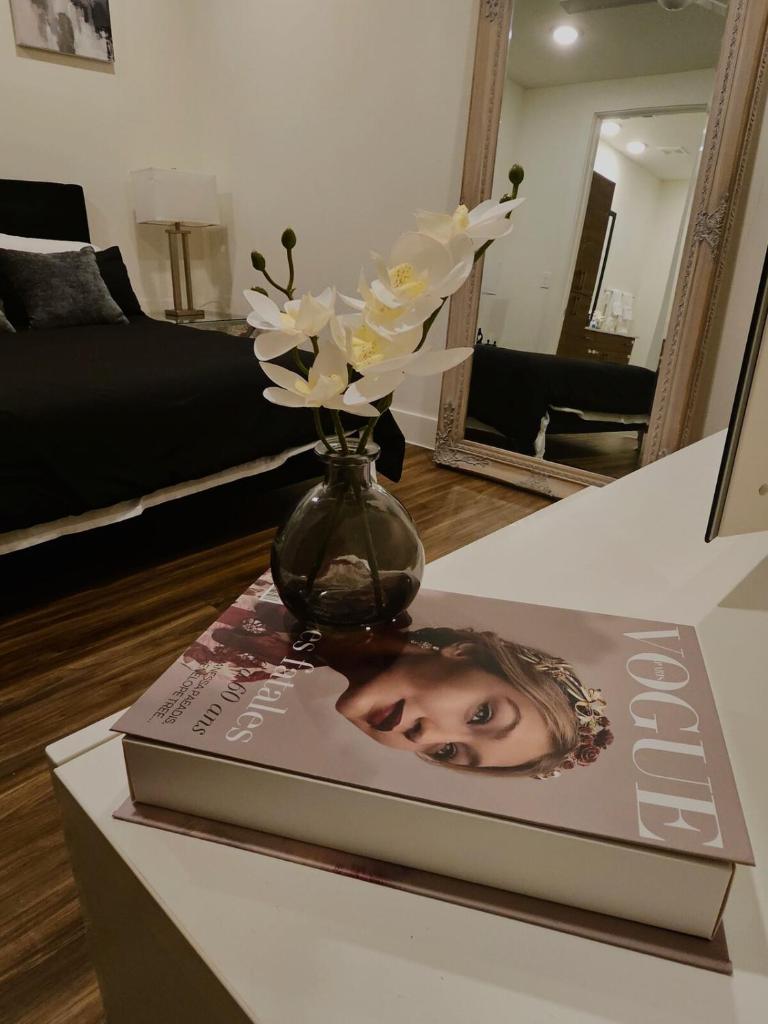 lavish apartment downtown image