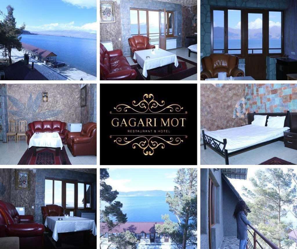 Gagari mot