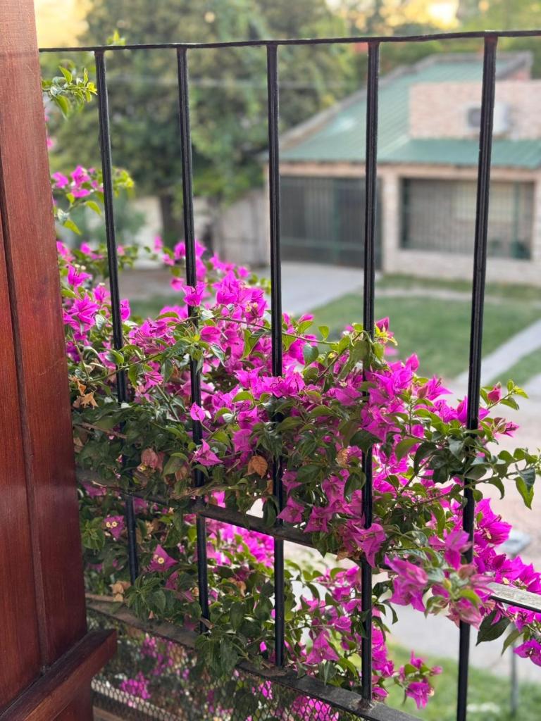 La Posada De Lety photo 1