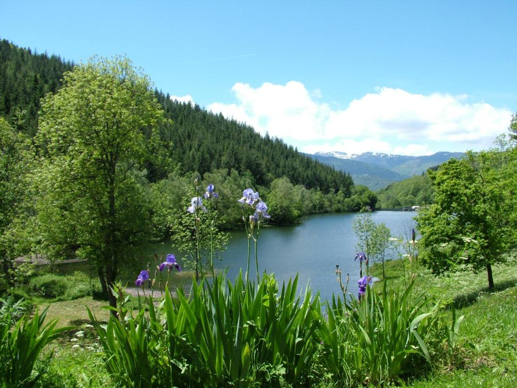 Gite d'Etape Ascou La Forge photo 2
