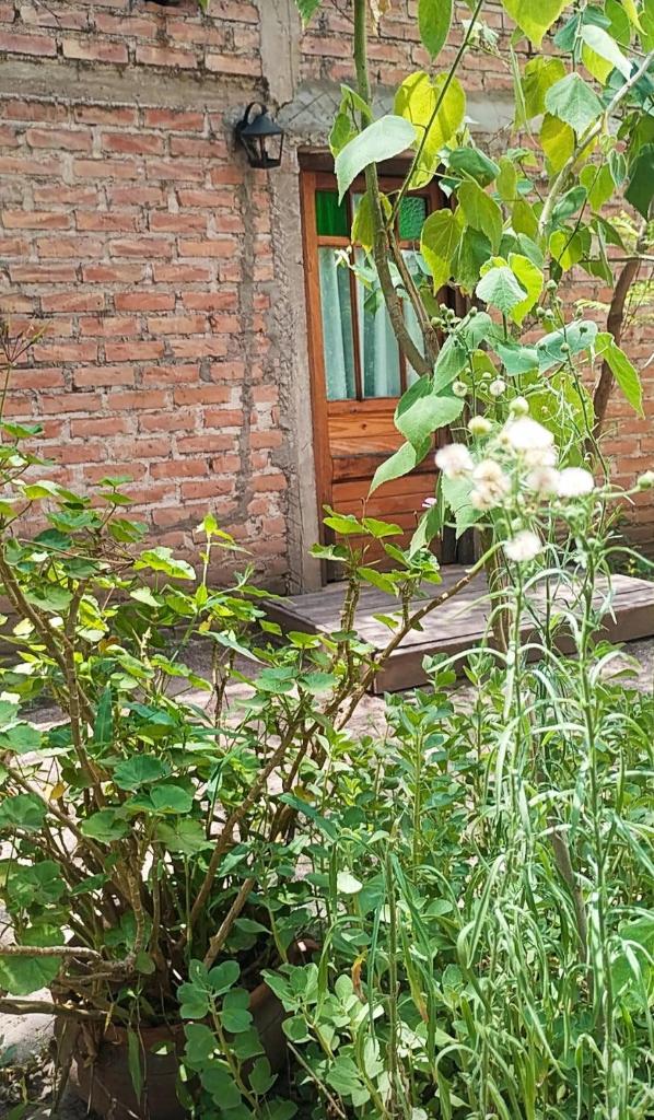 Agni photo 2