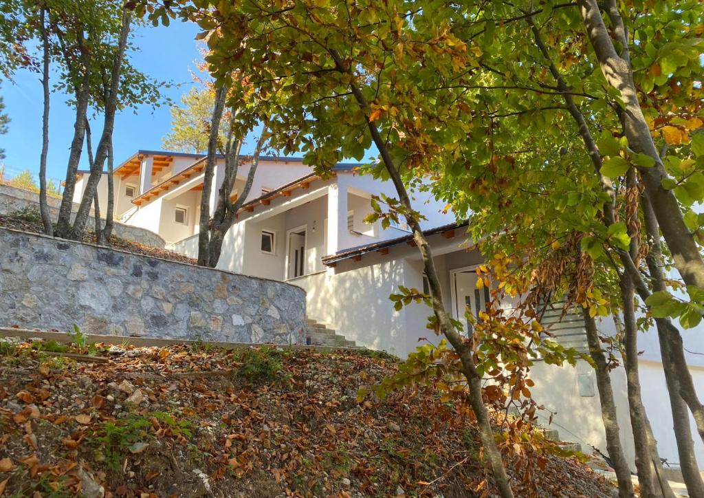 Vila Haxhaj photo 3