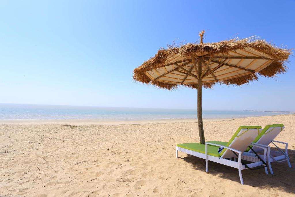 Serena Beach Resort photo 3