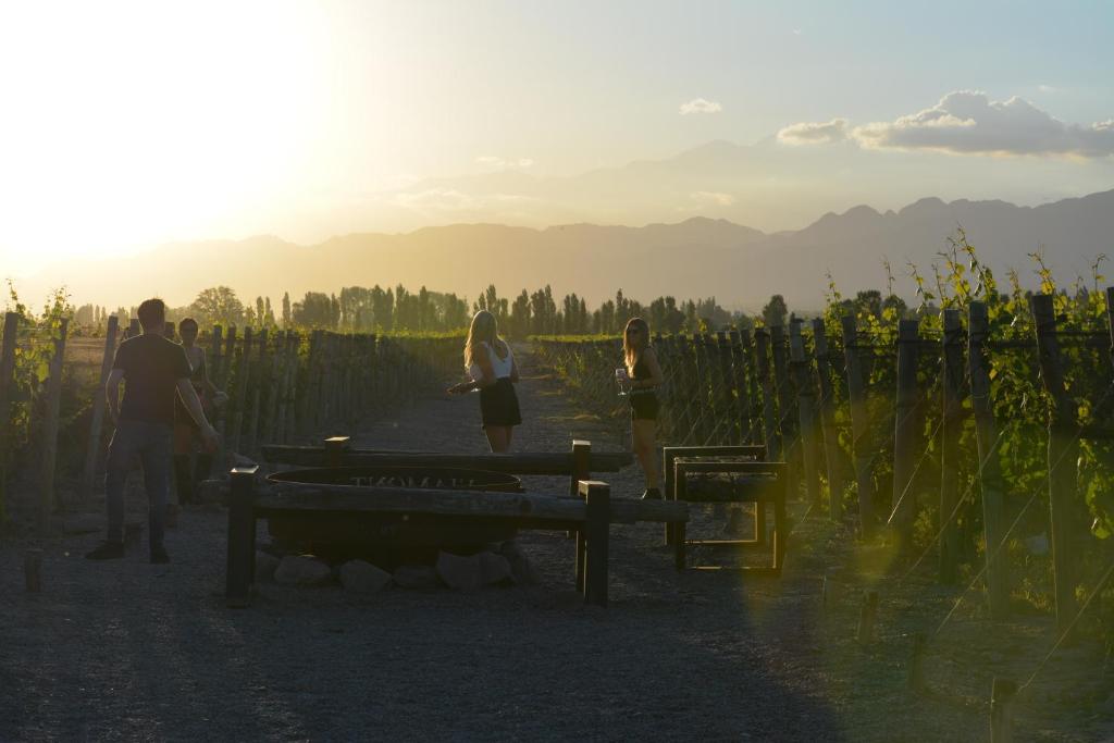 Viamonte Winery Lodge photo 3