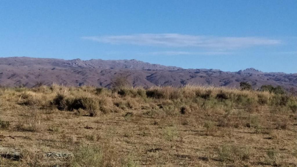 Los Espinillos photo 1