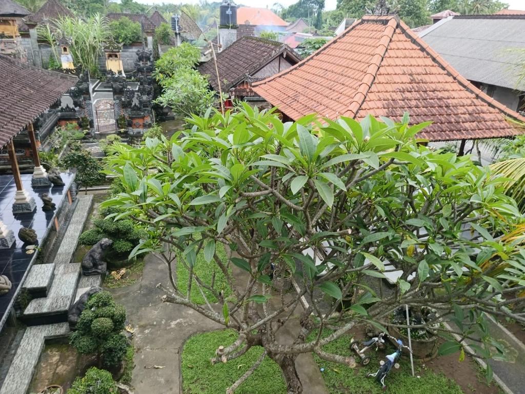 Tulak House photo 3