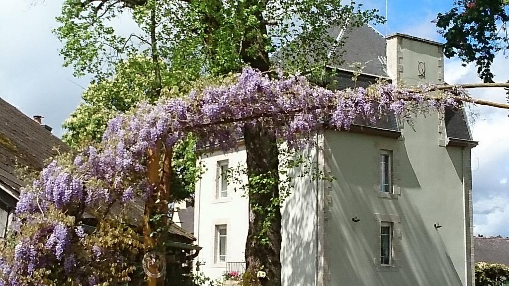 Château Bily B&B Hôtel photo 4