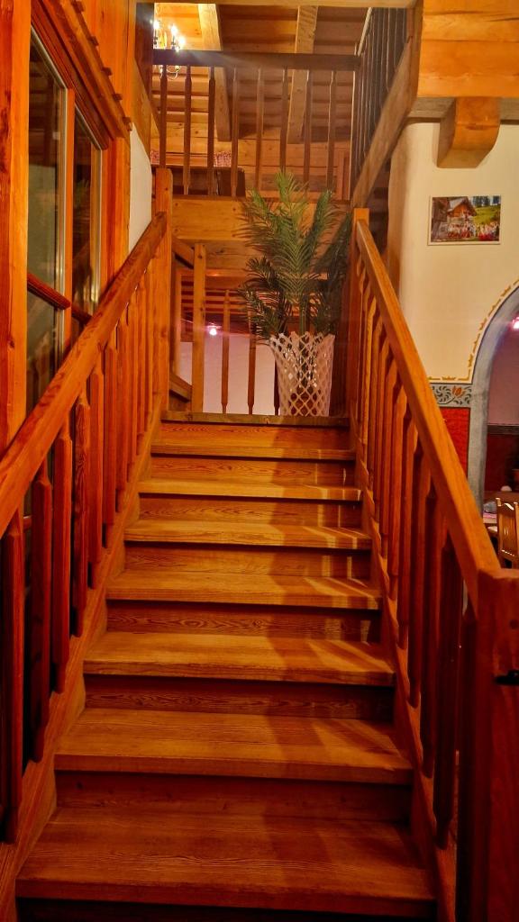 DIRNDL Kammer photo 4