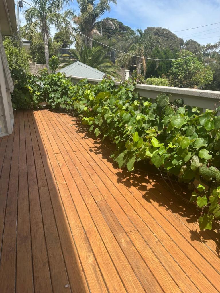 StaySorrento photo 4