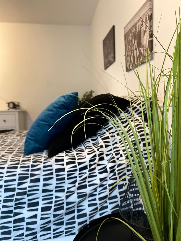 Studio Chaleureux Tout équipé - Wifi - Parking gratuit - Proche de la Nature - Tap to explore photos