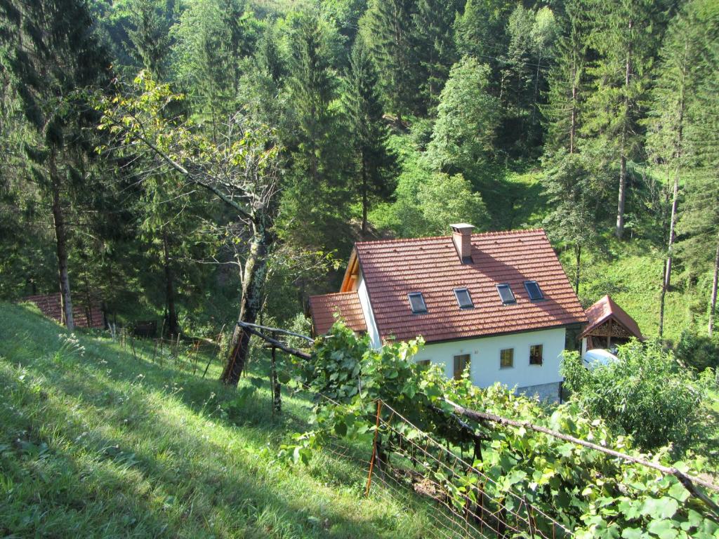 House Dolenja Trebuša photo 3