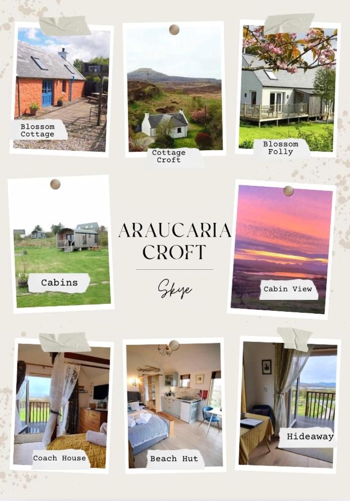 Araucaria Croft Skye Room Type - One-Bedroom House