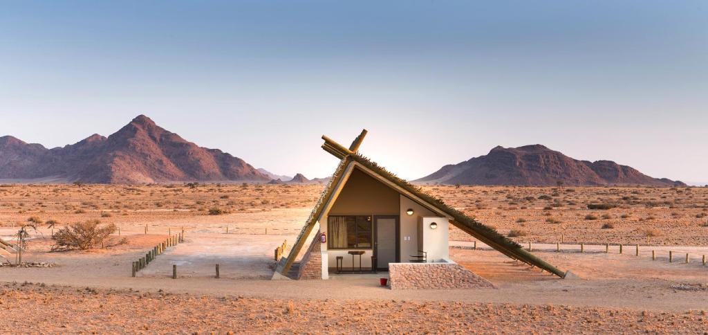 Desert Quiver Camp photo 1