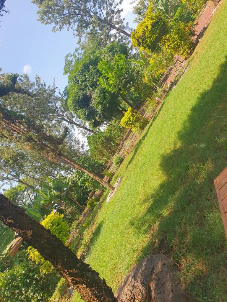 Sinana country Home-Backpackers Stay, Siha