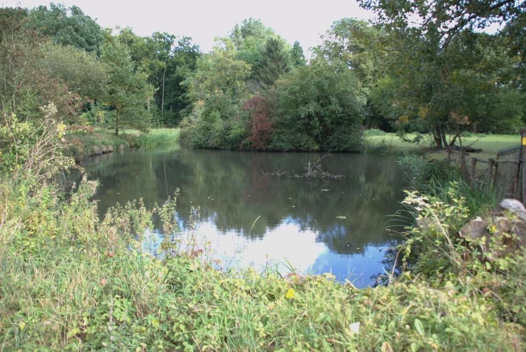 Land-Hotel Zum Schwan, Garni WEILERSWIST-METTERNICH photo 4