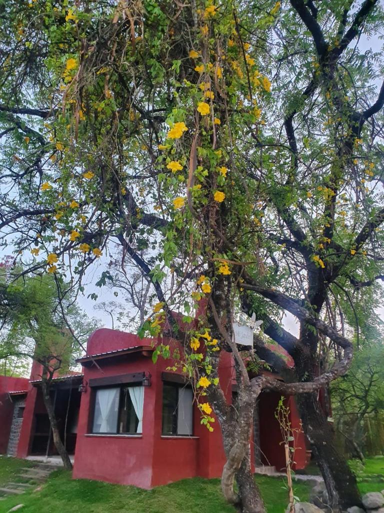 Casa Guifu RUNA YAKU photo 1