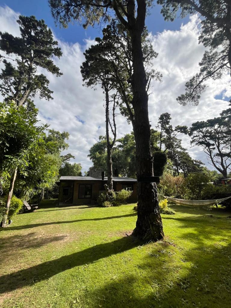 Casa en el bosque de Costa del Este photo 1