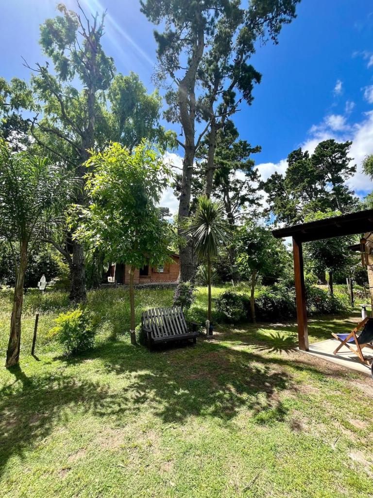 Casa en el bosque de Costa del Este photo 3