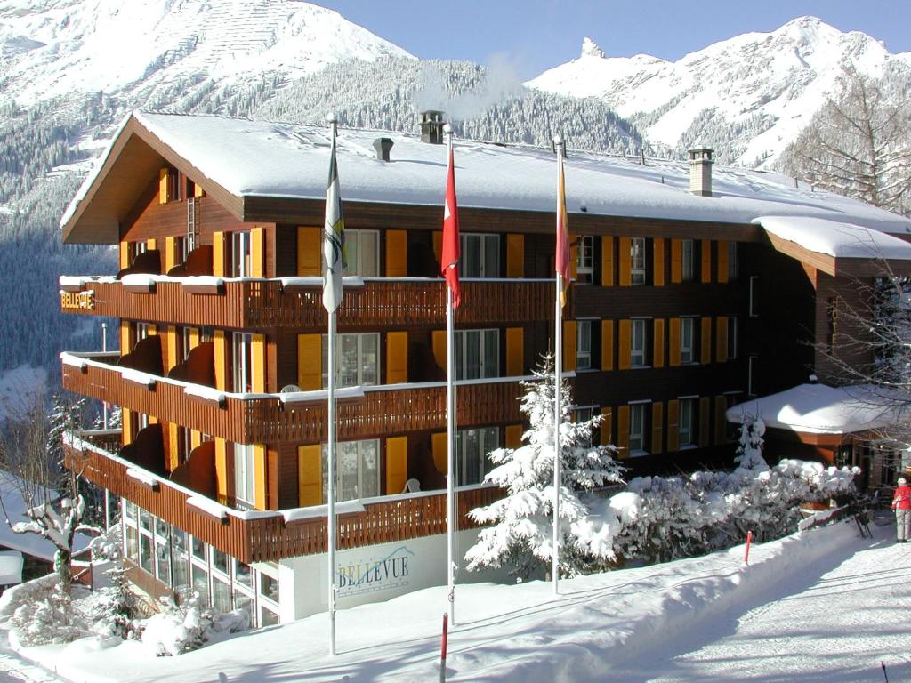Hotel Bellevue-Wengen - Best view in town! photo 3