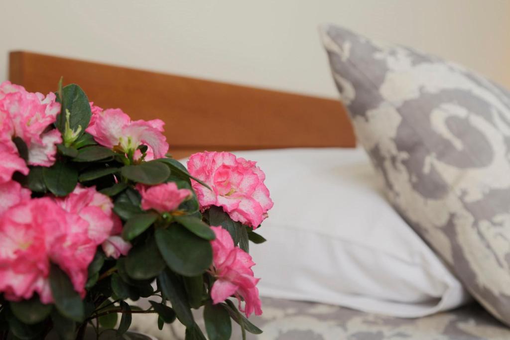 Двухместный (Двухместный номер с 2 отдельными кроватями), Accommodation Tara