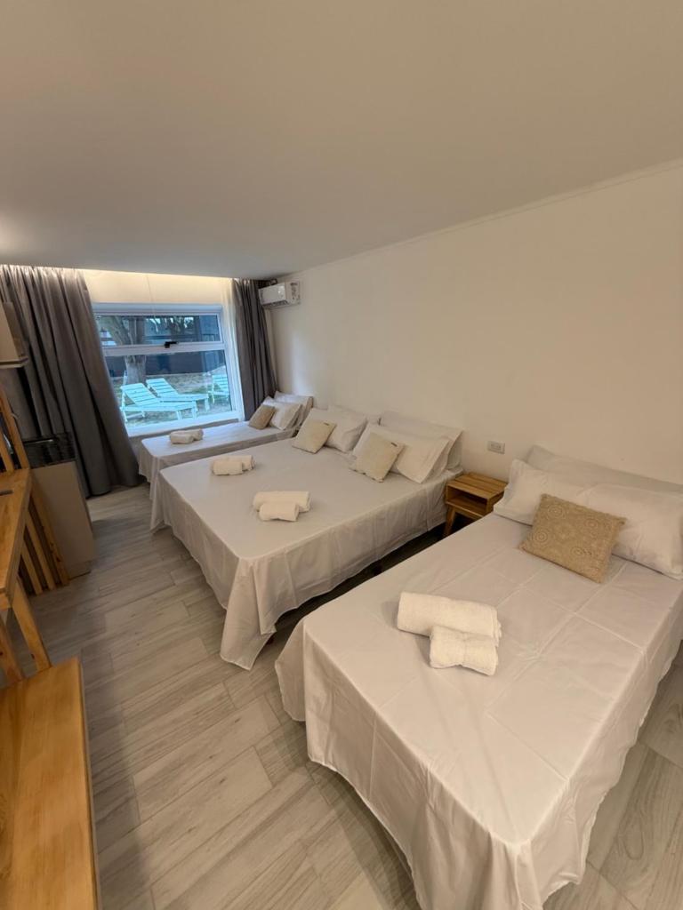 Los Cardos Lodge & Glamping photo 4
