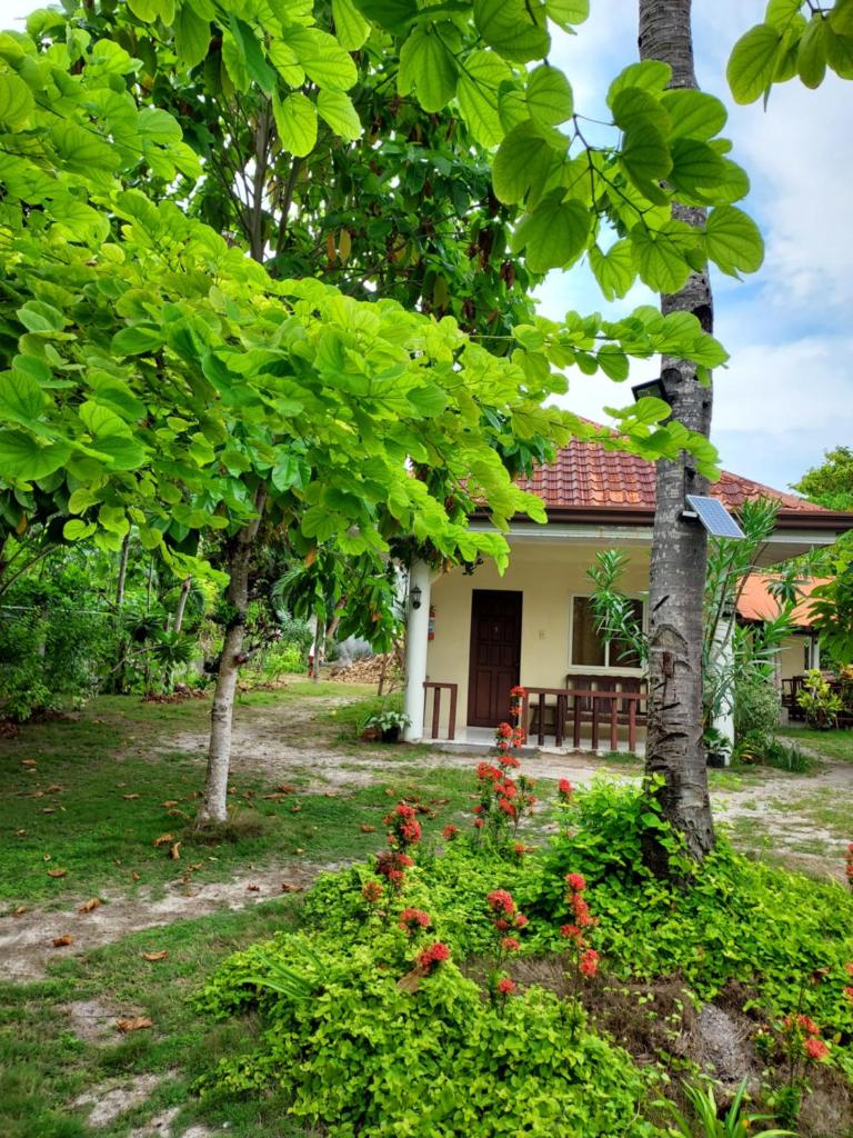 Celtis Resort - Tap to explore photos