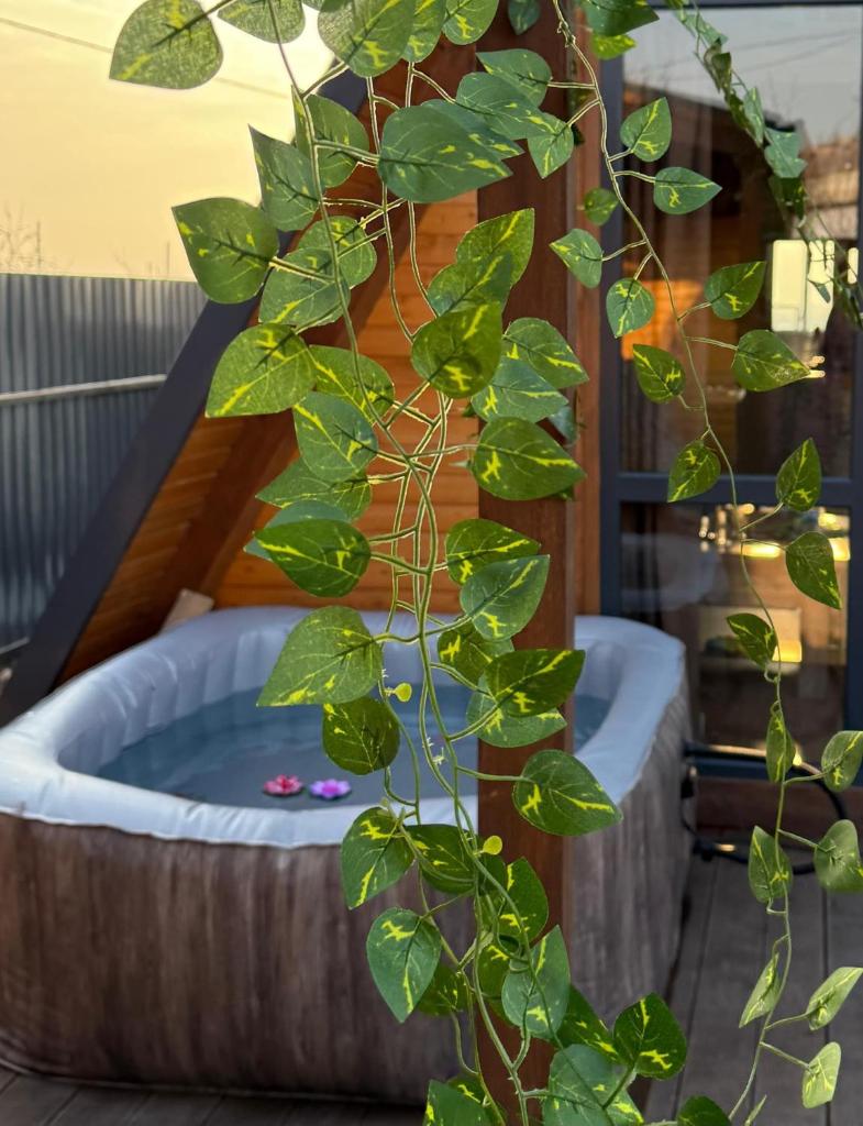 Noorwood Eco Villas photo 3