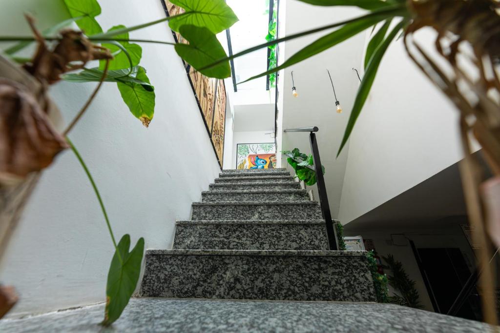 Ohana Apart Hotel photo 4