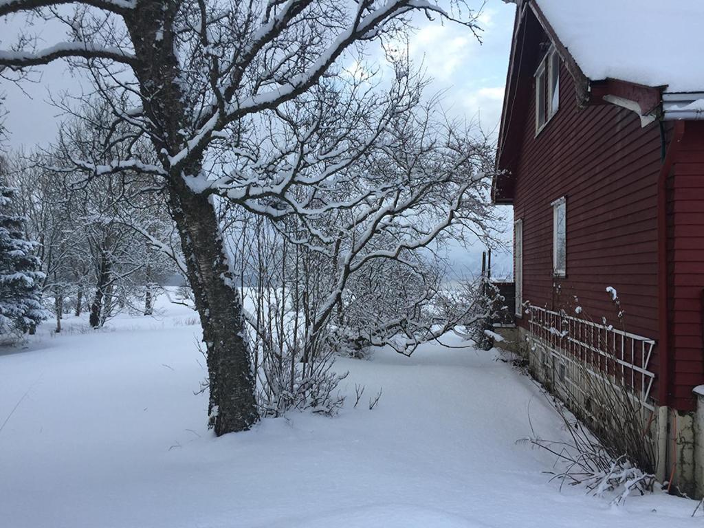 Bø Huset photo 2