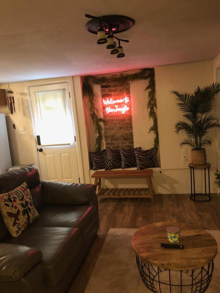 Jungle theme image