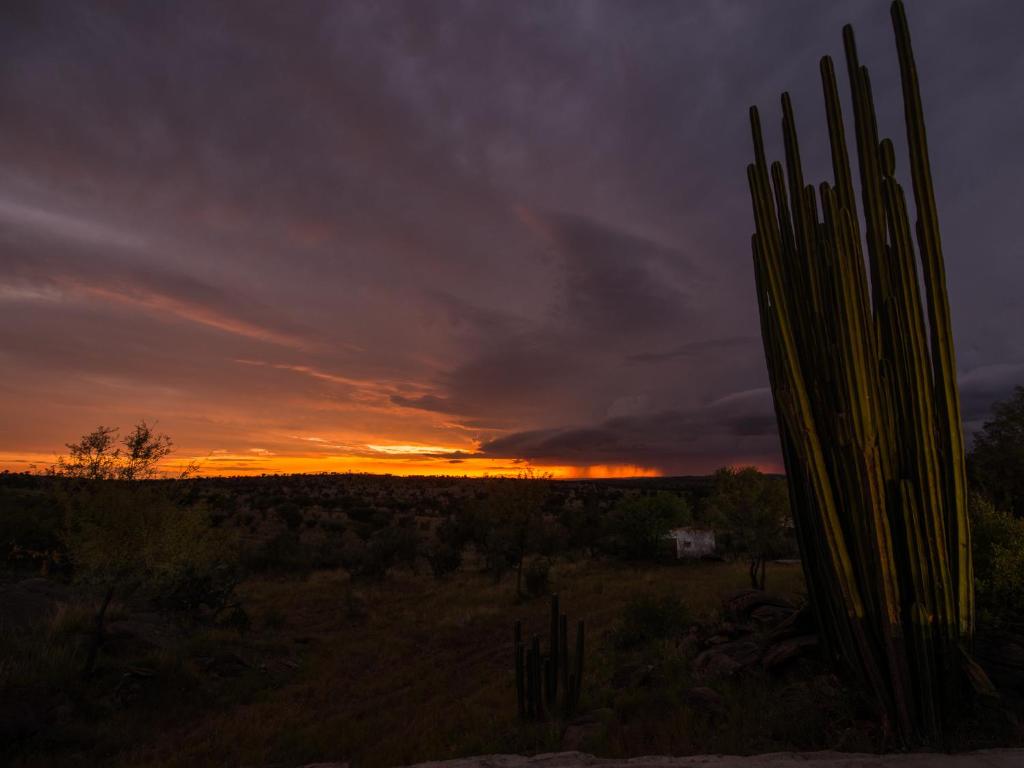 Halala Africa Lodge - Eagle Rock Lodge