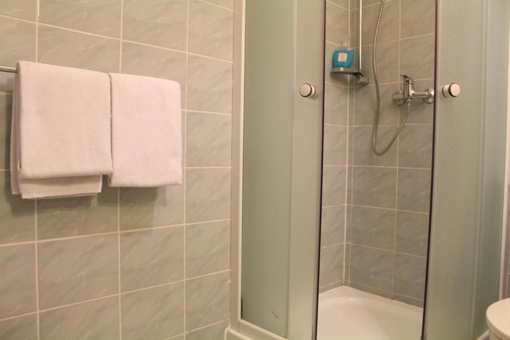 Апартаменты (Апартаменты-студио с мини-кухней (для 3 взрослых)), Cracow Old Town Guest House