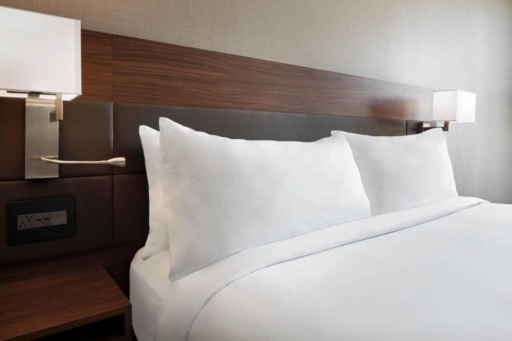 AC Hotel Pittsburgh Downtown by Marriott Room Type - Room, 1 King Bed with Sofa bed, River View