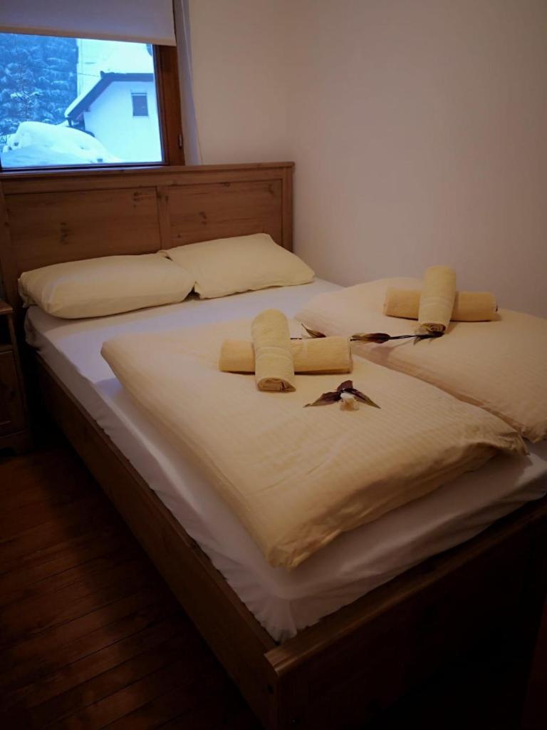 Guest House Alpha Ski Camp photo 4