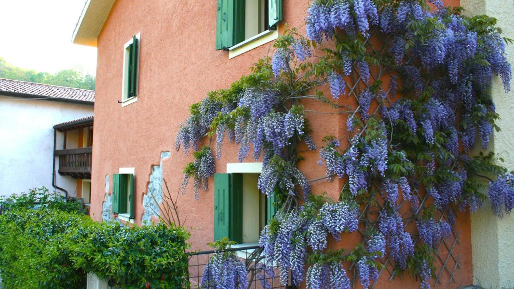 La Nicchia photo 1
