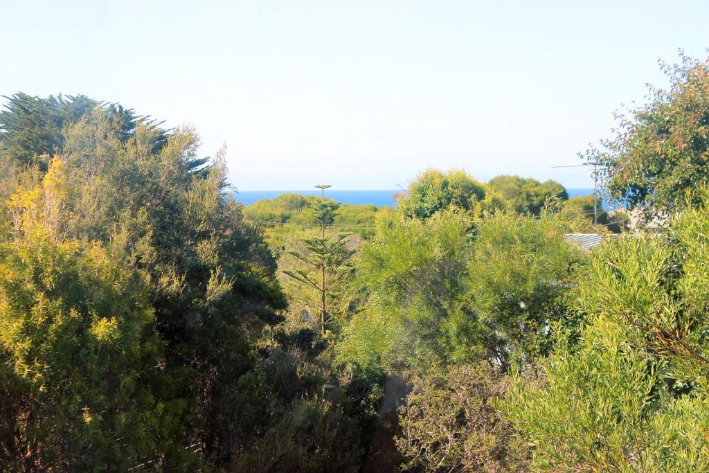 Eunoia at Smiths Beach photo 2