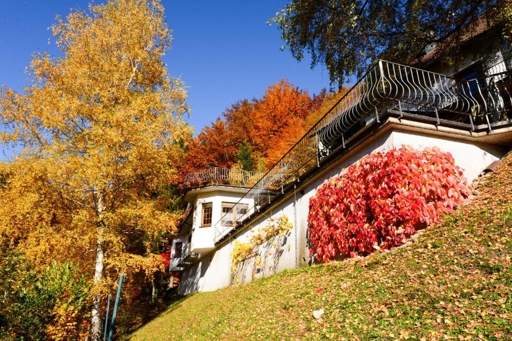 Café Pension Waldfrieden photo 2