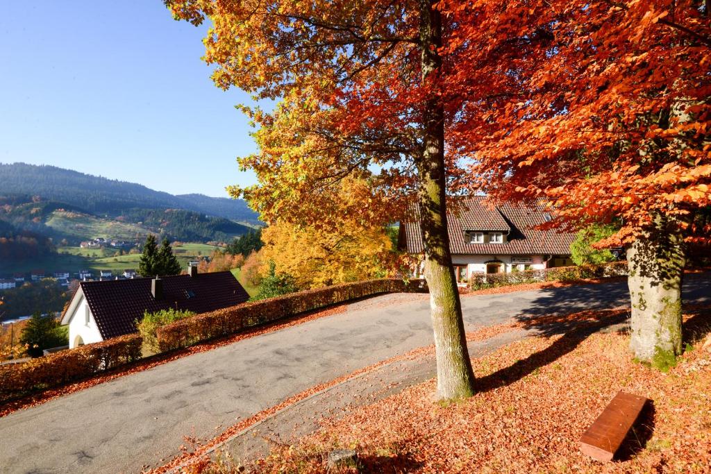 Café Pension Waldfrieden photo 3