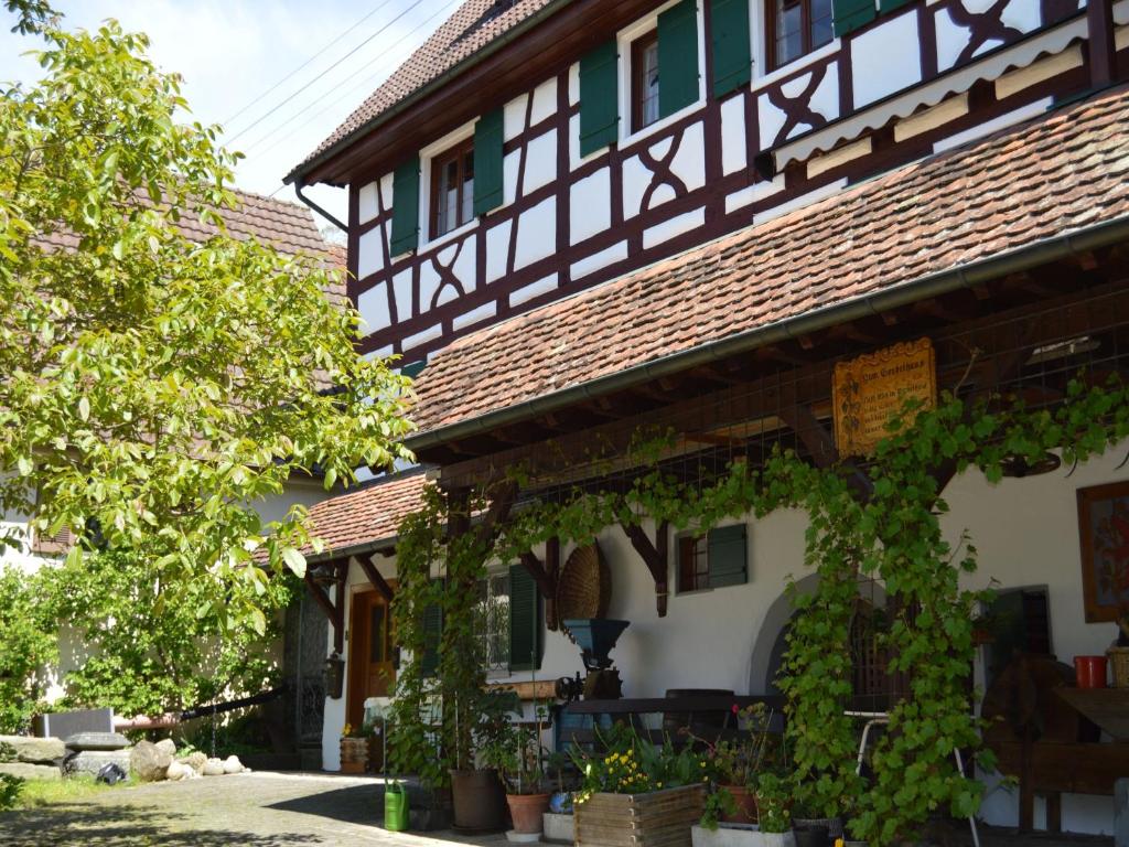 Zum Torkelhaus photo 1