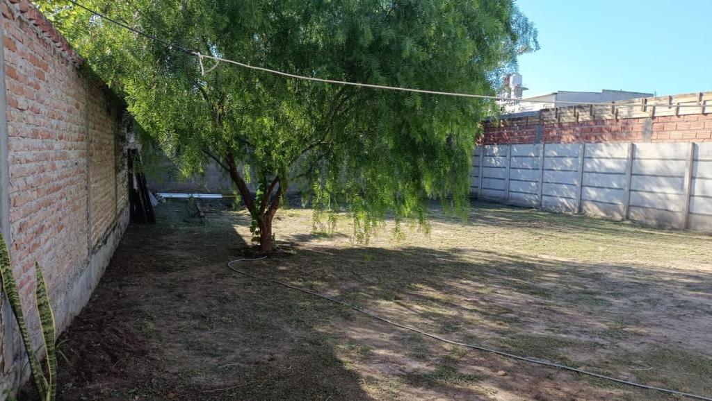 Los Pinos de Horizonte photo 3