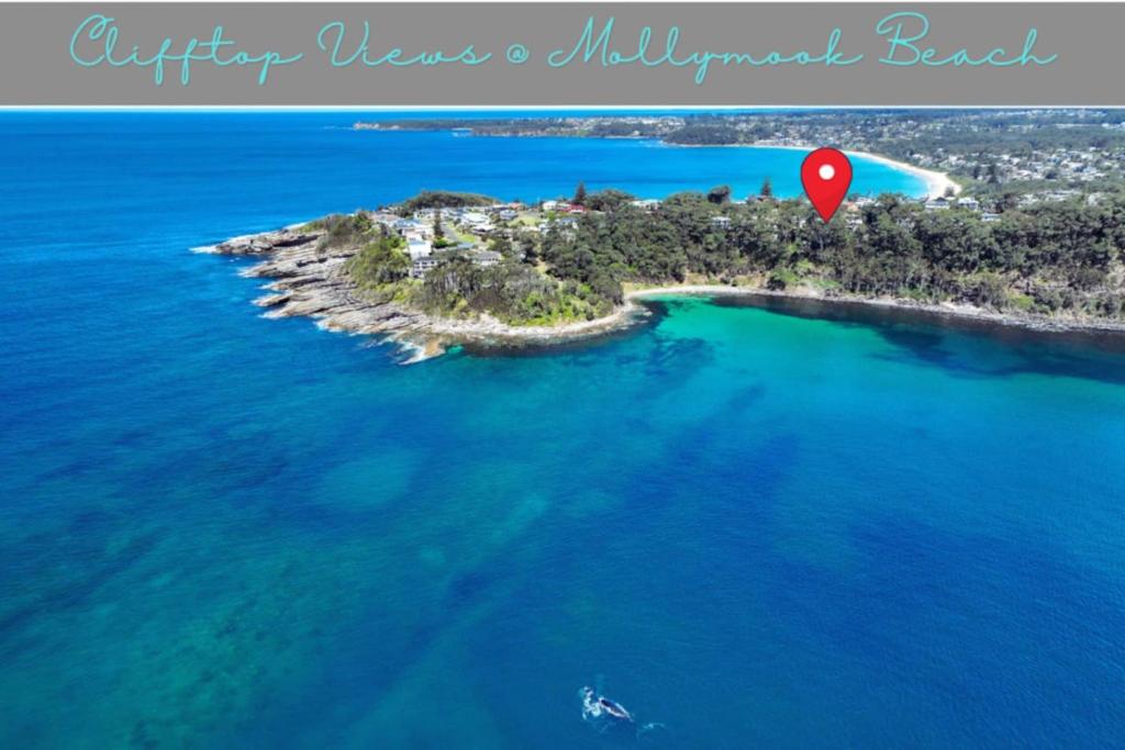 Clifftop Views Mollymook
