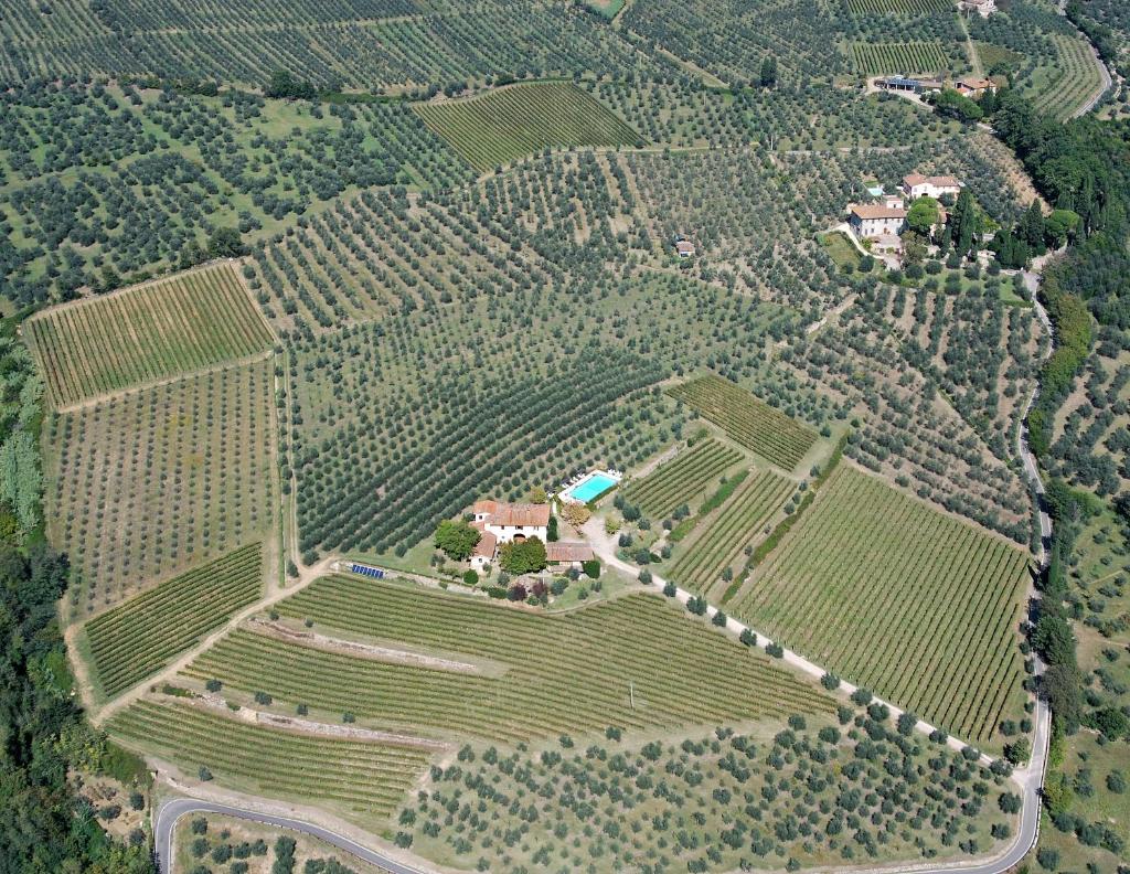 Agriturismo Biologico Poggiopiano photo 3